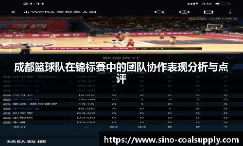 成都篮球队在锦标赛中的团队协作表现分析与点评